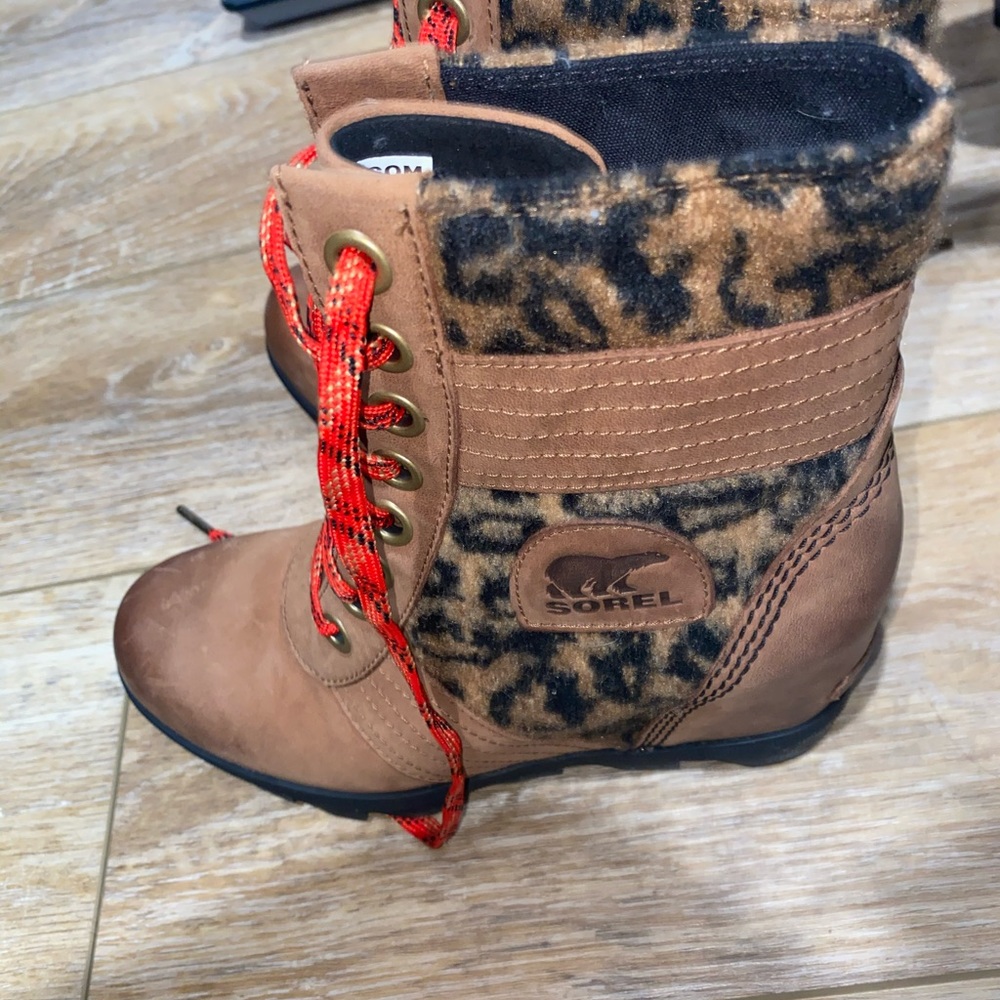 Sorrel leopard